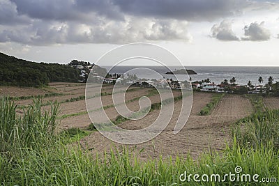 The Presqu`Ile de la Caravelle on the island of Martinique Stock Photo