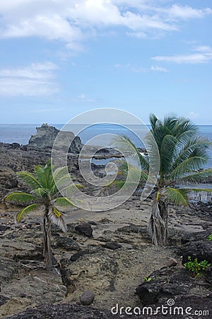 Presqu`ile of La Caravelle, Martinique, France Stock Photo