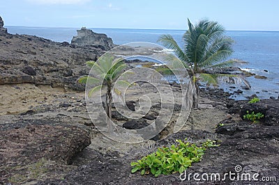 Presqu`ile of La Caravelle, Martinique, France Stock Photo