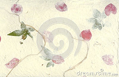 Pressed Flower Paper Background Stock Photo