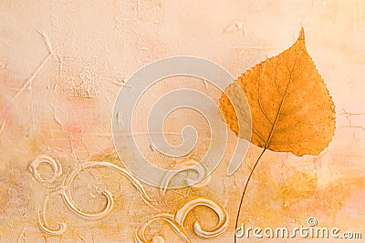 Pressed leaf Stock Photo