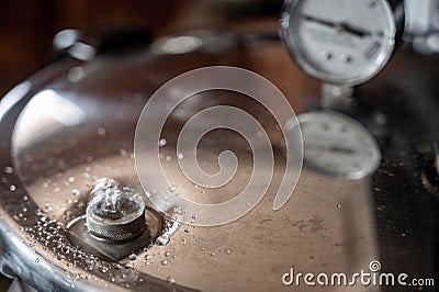 Pressure cooker guage and releave valve Stock Photo