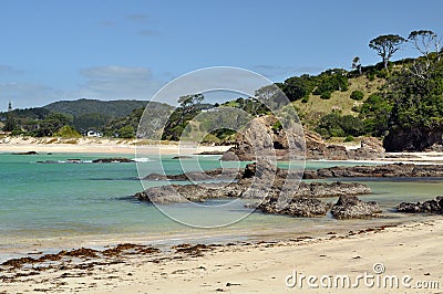 Pristine Beach. Tutukaka Coast Stock Photo