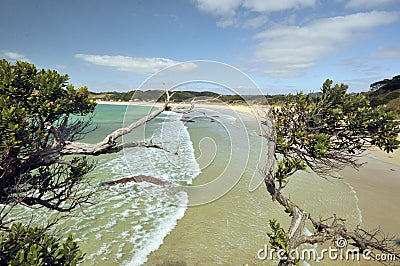 Pristine Beach. Tutukaka Coast Stock Photo