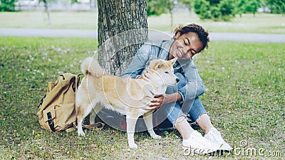 Pretty African American woman is fussing her pet dog resting on the grass in the park on warm summer day. Beautiful Stock Photo