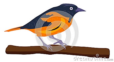 Pretty bird ,illustration, vector Vector Illustration