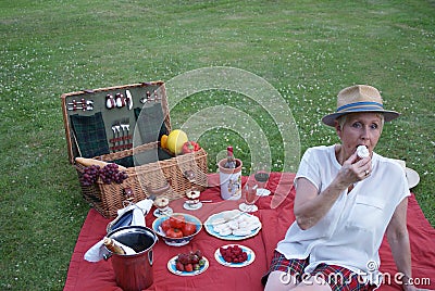 The young woman, dressed in her steward Tartan Bermuda, enjoys meringue for a picnic Stock Photo