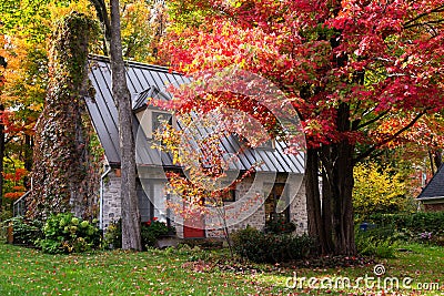 Pretty field stone house with steep metal roof nestled among trees with colourful foliage Stock Photo