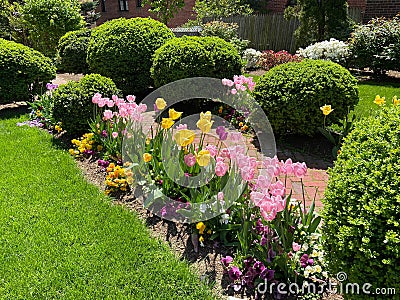 Pretty Flowers and Green Grass Stock Photo