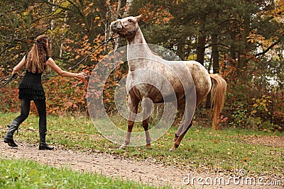 Pretty girl working with horse, natural horsemanship Stock Photo