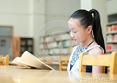 Pretty girls studying in the library Stock Photo