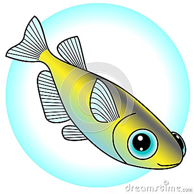 A pretty killifish is the illustration which is being swum. Vector Illustration