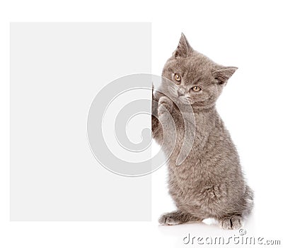 Pretty kitten peeking out of a blank sign, isolated Stock Photo