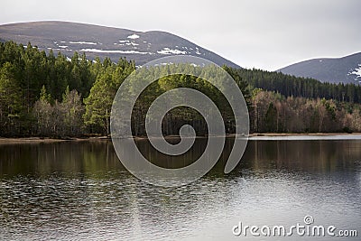 Pretty Loch Morlich Stock Photo
