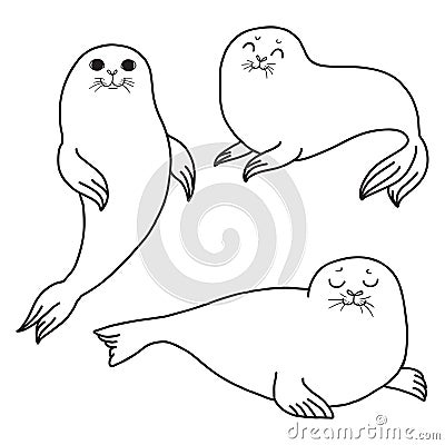 Pretty Seals isolated on white. Vector Set of marine mammal. Vector Illustration