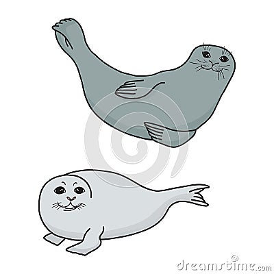 Pretty Seals isolated on white. Vector Set of marine mammal. Vector Illustration