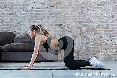 Pretty slim sportswoman practicing gymnastics doing exercises standing on all fours indoors Stock Photo