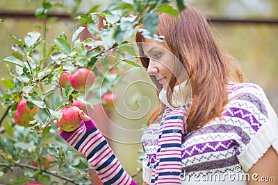 Pretty woman with autumn apple crop near tree Stock Photo