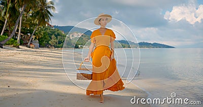 Pretty woman carrying picnic basket walking along sandy beach on a hot summer day enjoying fine view Stock Photo