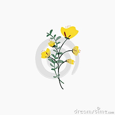 pretty yellow flower, vector illustration, clip art Cartoon Illustration