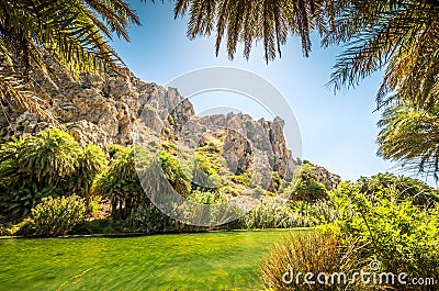 Preveli palm forest in Crete island, Greece. Stock Photo