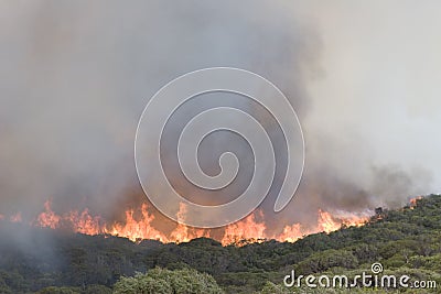 Prevelly Beach Bushfire Editorial Stock Photo