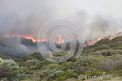 Prevelly Beach Bushfire Editorial Stock Photo