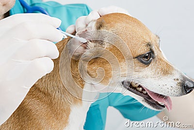 Prevention of disease ears Stock Photo