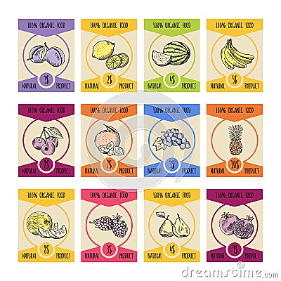 Price cards with different fruits illustrations in hand drawn style. Farmer pictures Vector Illustration