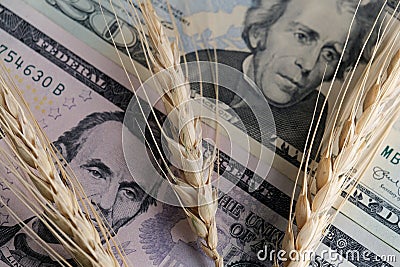 The price of wheat for import and export. Three cereal spikelets on the background of US banknotes. Close-up. Portraits of preside Stock Photo