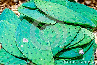 Prickly cactus leaves cactus pads for Mexican or Latin American cooking, in a basket, being sold in a farmer`s market. Bright gr Stock Photo