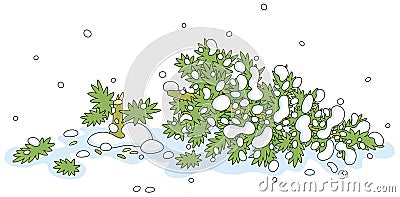 Felled green fir tree on snow Vector Illustration