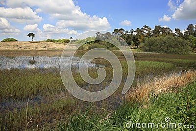 Priddy Pond, Somerset UK Stock Photo