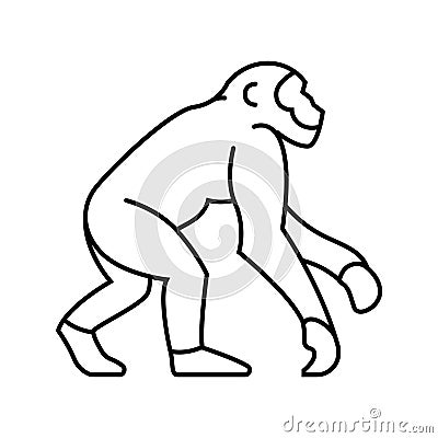 primate ancestors human evolution line icon illustration Cartoon Illustration