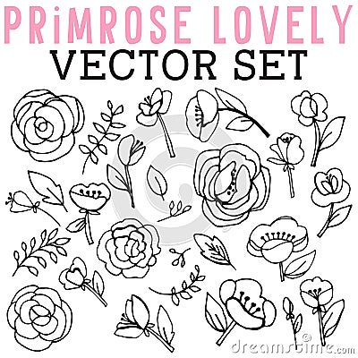 Primrose Lovely Vector Set with roses, branches, and leaves. Stock Photo