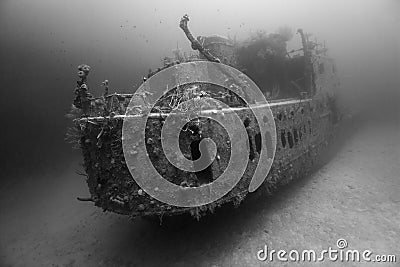 Prince Albert wreck in black and white Stock Photo