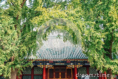 Prince Gong`s Mansion, Gong Wang Fu in Beijing, China Stock Photo