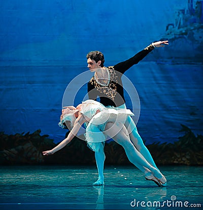 The prince and the swan Editorial Stock Photo