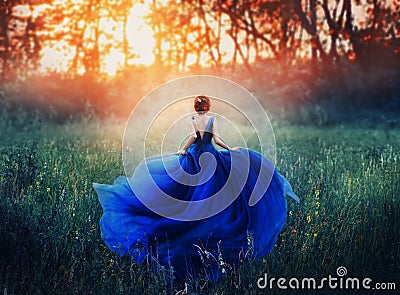 Princess, with a elegant hairstyle, runs through a forest meadow to meet a fiery sunset with a haze. A luxurious blue Stock Photo