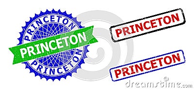 PRINCETON Rosette and Rectangle Bicolor Stamps with Corroded Styles Vector Illustration