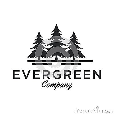 Evergreen / Pine tree Logo design inspiration - Vector Stock Photo