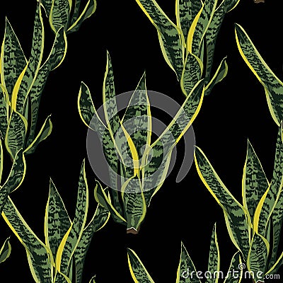Abstract seamless texture with leaves Sansevieria plant green. Vector Illustration