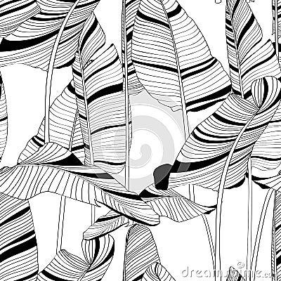 Seamless banana leaf pattern background. Black and white with drawing line art illustration. Cartoon Illustration