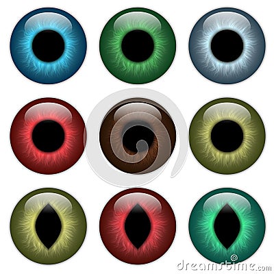 Set pupil, contact lenses Vector Illustration