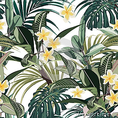 Seamless pattern with tropical leaves and paradise plumeria flowers. Dark and bright green palm monstera leaves on the white backg Cartoon Illustration