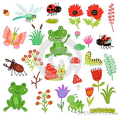 Frogs beetles and flowers Vector Illustration