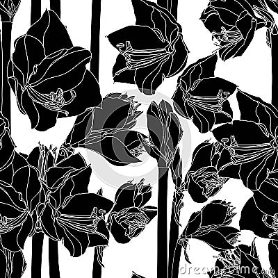 Amaryllis hippeastrum lilly flower branch black and white outline sketch seamless pattern. Spring floral bouquet foliage element. Vector Illustration
