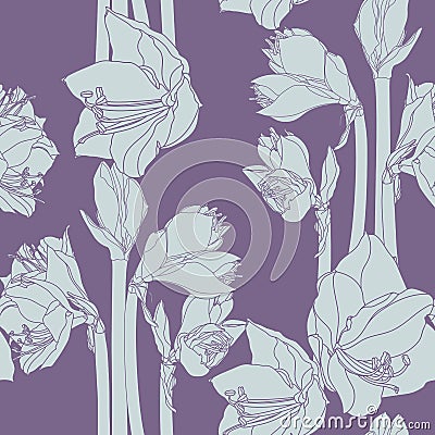 Hippeastrum lilly blooming flowers seamless pattern. Vector Illustration