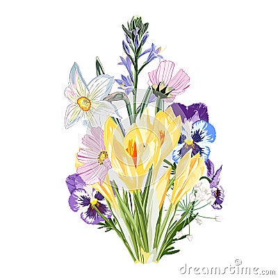 Yellow crocus flowers bouquet with garden herbs, bels, narcissus, viola on white background. Vector Illustration