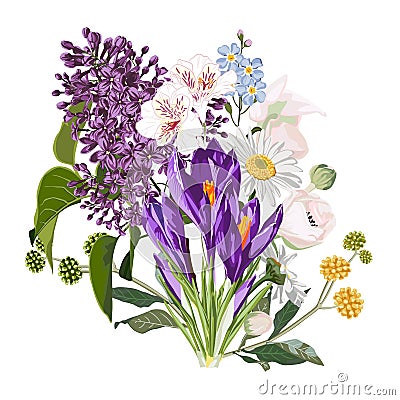 Purple spring crocus flowers bouquet with garden herbs, lilac, chamomile, anemones on white background. Stock Photo